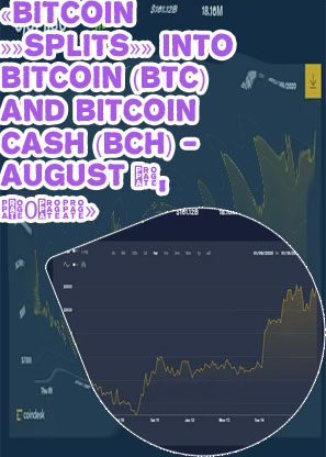 Bit coin rate now